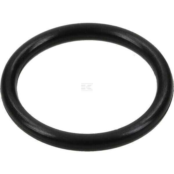 O-ring - 590695 - Briggs & Stratton