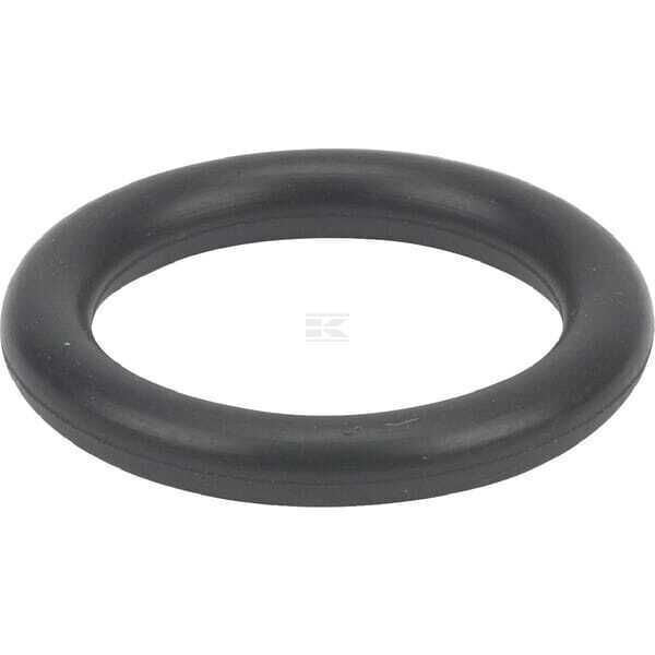 O-ring - 699725 - Briggs & Stratton