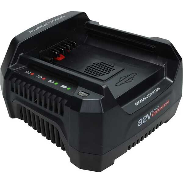 BS AcculadersoverzichtOE - 1760264 - Acculader B&S 220V