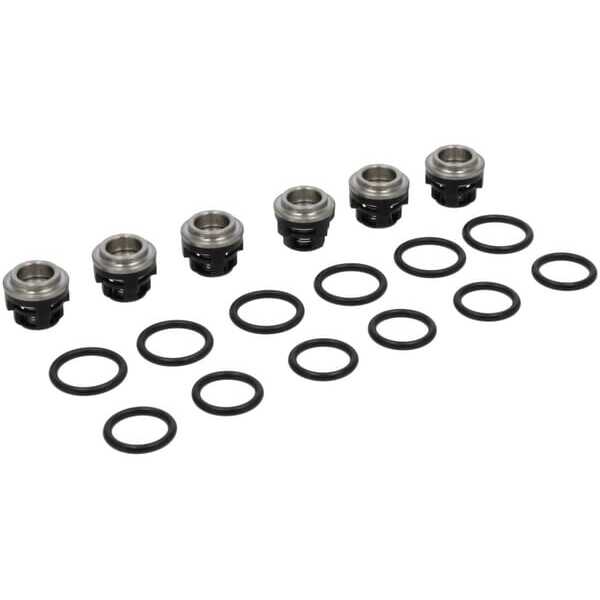 BS Briggs & Stratton OE - 193955GS - Terugslagklep, set