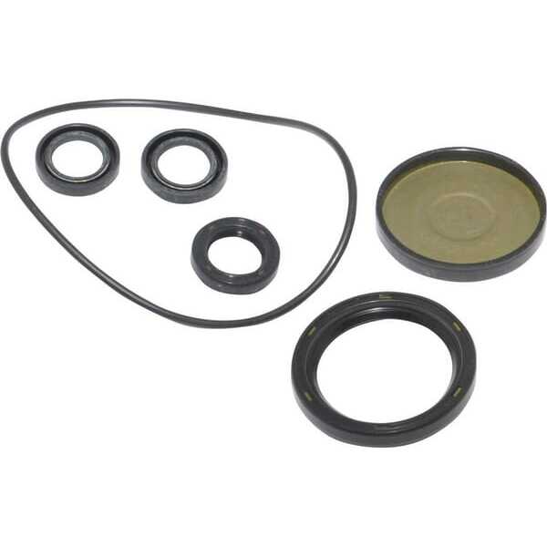 BS Pakkingset Briggs & Stratton - 202B2126GS - Oliekeerringset B&S