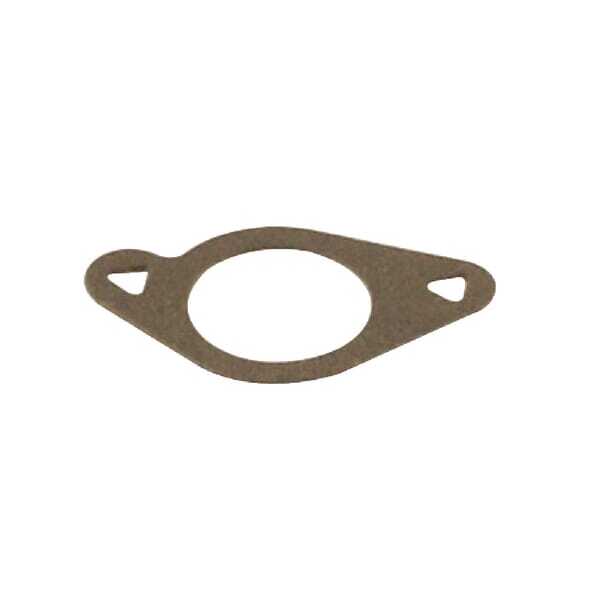 BS Inlaatpakking Briggs & Stratton - 272199S - Inlaatpakking