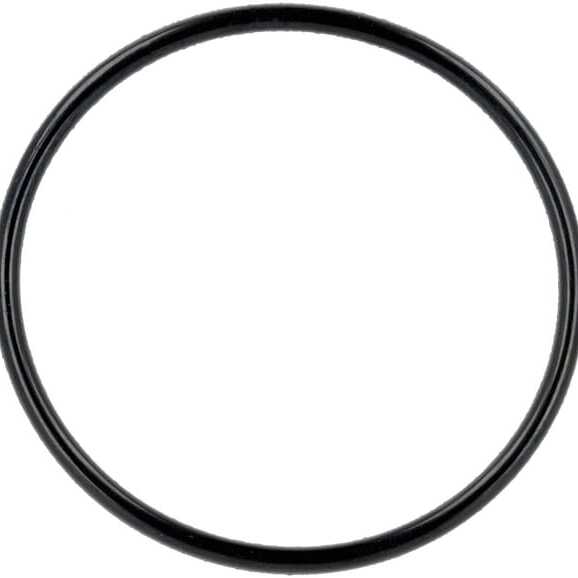 AL-KO O-ringen - 463554 - O-ring 55x3,1