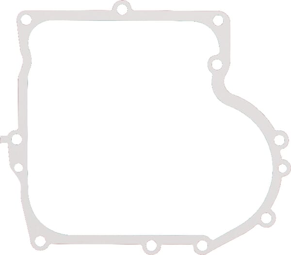 Briggs & Stratton Carterpakking - 692405 - Carterpakking B&S .009\