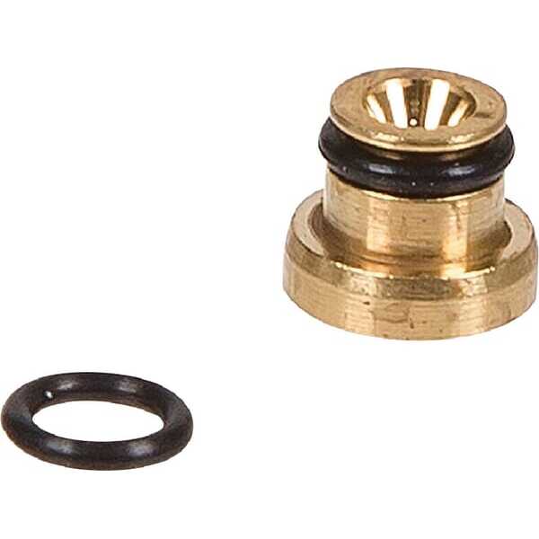 BS Sproeiers Briggs & Stratton - 699457 - Sproeier B&S
