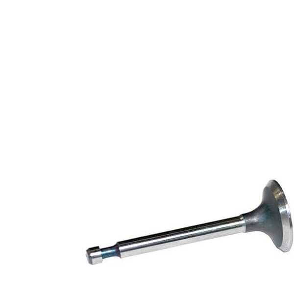 BS Onderdelen voor kleppen Briggs & Stratton - FGP014354 - Inlaatklep B&S 262247S