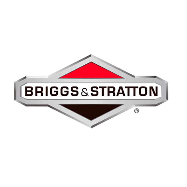 Carburateurscherm - 845543 - Briggs & Stratton